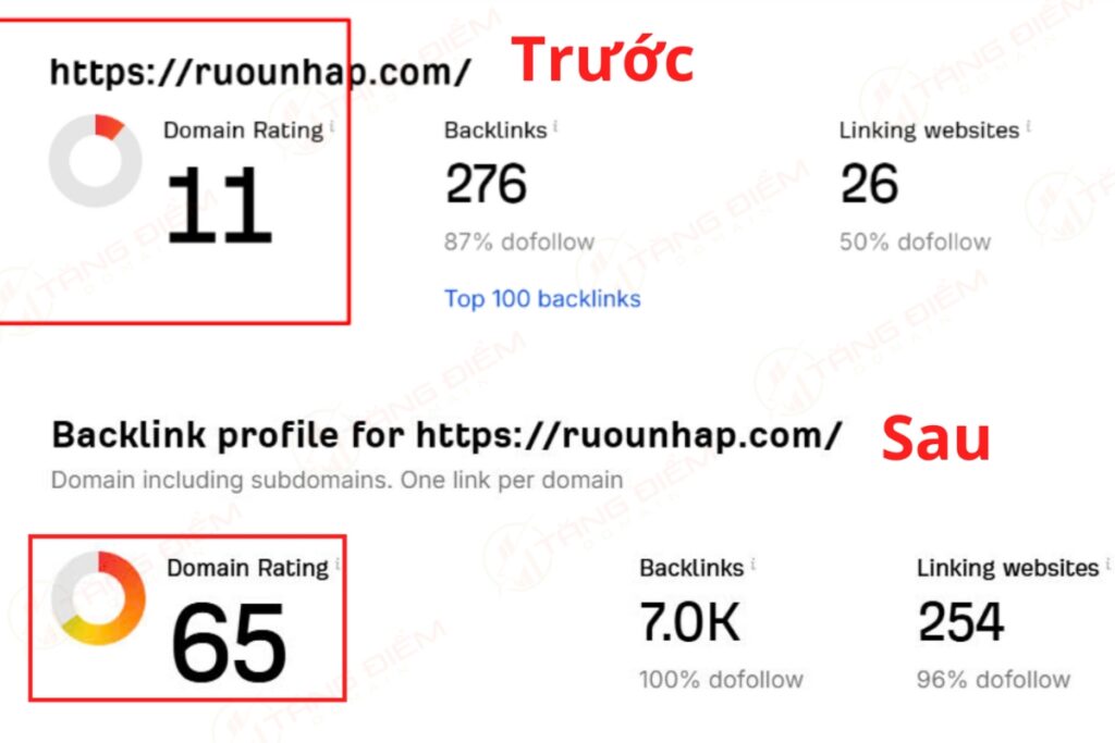 Case tăng chỉ số Domain Rating lên 65 của SGXP