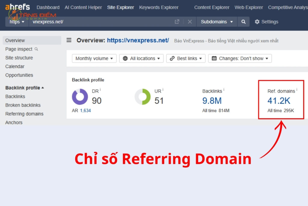 Chỉ số Referring Domain