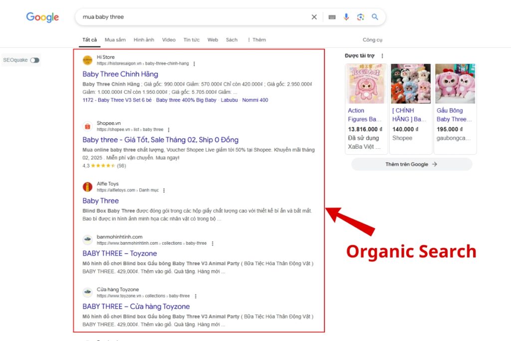 Kết quả organic search