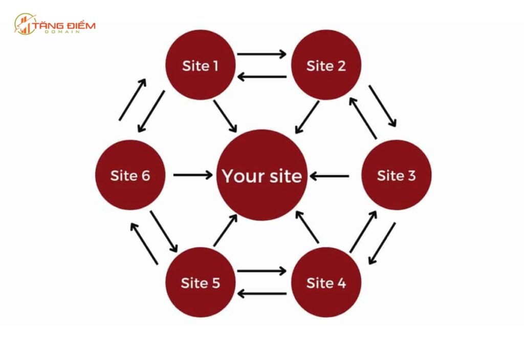 Mô hình backlink Wheel Link