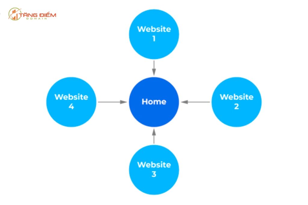 Mô hình backlink Star