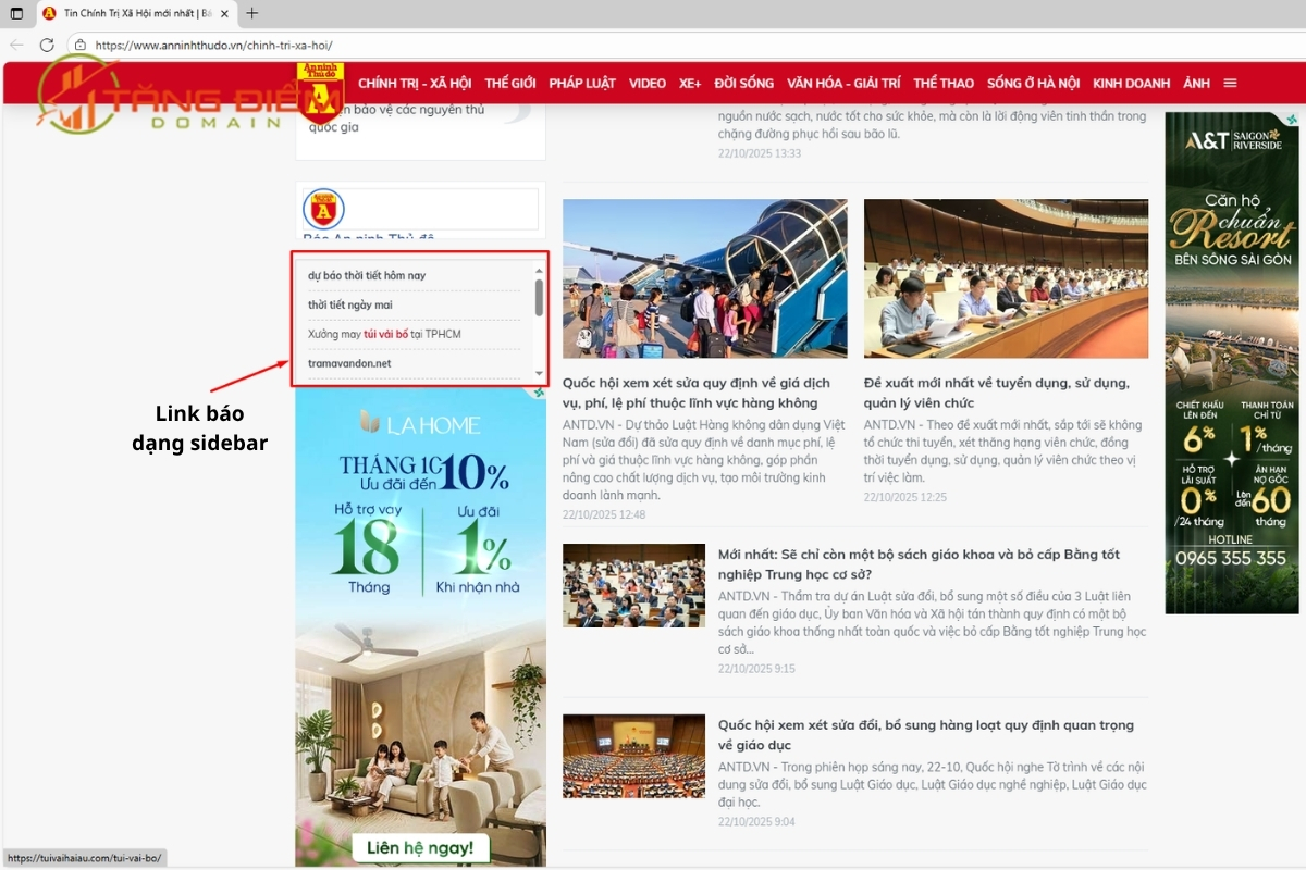 Backlink đặt tại trang báo anninhthudo.vn