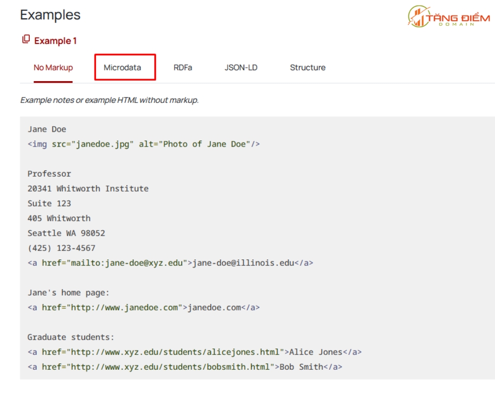 Đoạn ví dụ Person Schema Markup