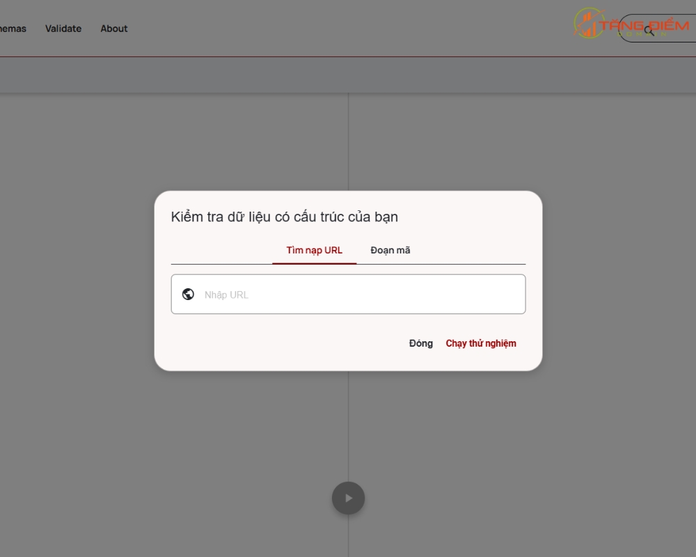 Chọn kiểm tra Schema bằng cách nhập URL hoặc dán trực tiếp đoạn mã Schema