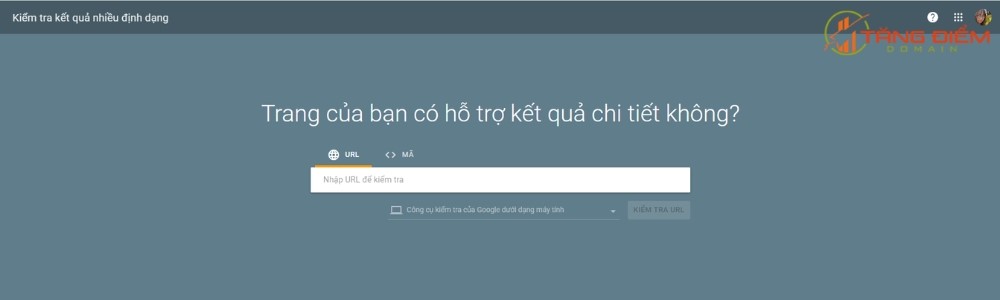 Giao diện công cụ Rich Results Testing Tool