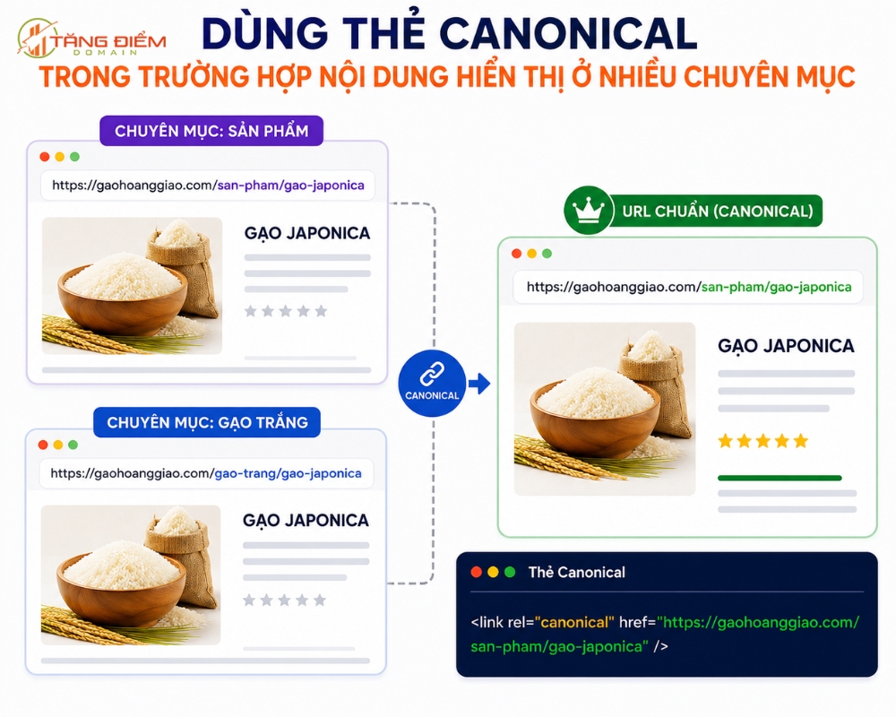 Dùng thẻ Canonical trong trường hợp nội dung hiển thị ở nhiều chuyên mục