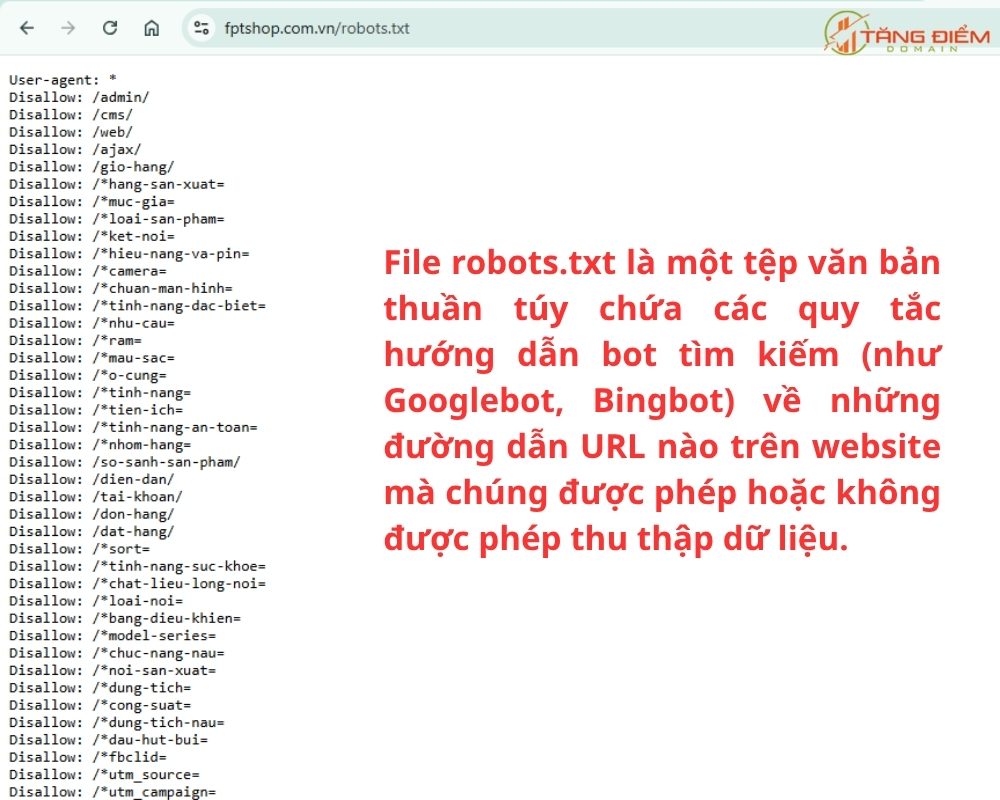 File robots.txt là gì?