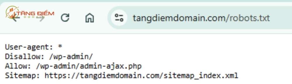 File robots.txt của web https://tangdiemdomain.com