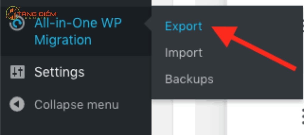 Truy cập plugin All-in-One WP Migration, nhấn Export